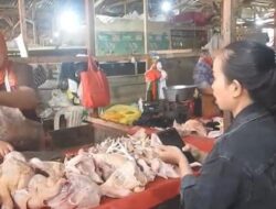 Harga Daging Ayam Potong di Banjarnegara Naik, Omzet Pedagang Anjlok 40 Persen