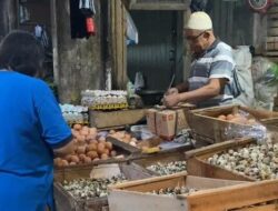 Harga Telur di Banjarnegara Rp 30 Ribu/Kg, Pedagang: Omzet Turun 50%