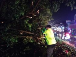 Kapolsek Karangtengah dan Anggotanya giat Evakuasi Pohon tumbang