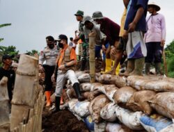 Pemkab Pati Terjunkan Alat Berat Perbaiki Tanggul Jebol di Desa Ketitangwetan