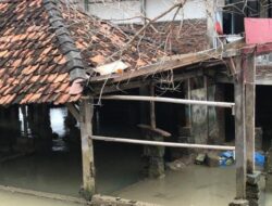 Tanggul Laut Jadi Solusi Jangka Panjang Antisipasi Banjir Rob di Desa Bedono Demak