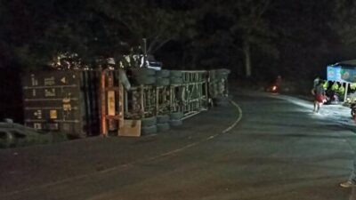 Truk Muatan Triplek Terguling di tikungan Kalimalang Jambu Semarang, Tak ada Koeban Jiwa