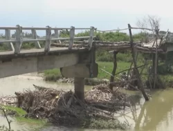 5 Tahun Rusak, Jembatan Penghubung Desa di Demak Tak Kunjung Diperbaiki