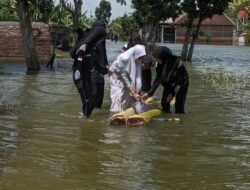 Akibat Banjir, 24 Rumah di Kabupaten Demak Roboh dan Puluhan Rusak