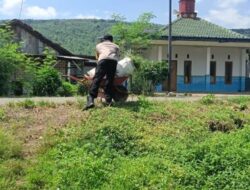 Anggota Polsek Sale Bantu Warganya Angkat Rumput Untuk Makan Ternak
