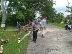 Antispasi Pohon Tumbang, Patroli Polsek Dempet Bantu Warga Tebang Pohon Di Pinggir Jalan