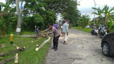 Antispasi Pohon Tumbang, Patroli Polsek Dempet Bersama Warga Tebang Pohon Pinggir Jalan