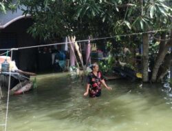 Banjir Demak Meluas hingga 14 Kecamatan, 103 Desa Terdampak Banjir
