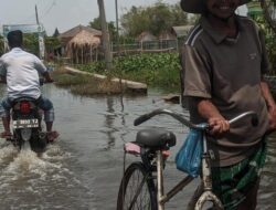 Banjir Masih Rendam 50 KK Warga di Kalisari Demak, Warga Butuh Bantuan