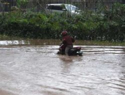 Banjir Rendam Sawah di Demak Kerugian Miliaran Rupiah