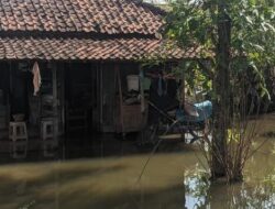Banjir Sejak Akhir Tahun, Sejumlah Wilayah di Demak Masih Tergenang Air