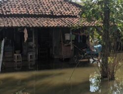 Banjir Sejak Akhir Tahun, Sejumlah Wilayah di Demak Masih Tergenang