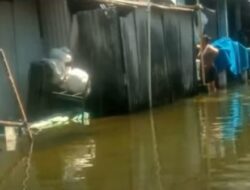 Banjir di Demak Tak Kunjung Surut, Warga Mulai Terserang Penyakit