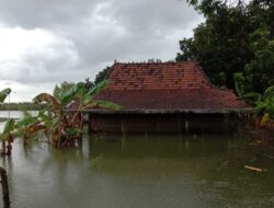 Banjir di Pati dan Demak Belum Juga Surut, Aktivitas Warga Masyarakat Lumpuh