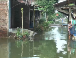 Banjir di Pati dan Demak Belum Juga Surut, Aktivitas Warga Lumpuh