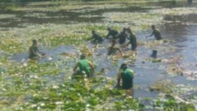 Bersama Warga, Bhabinkamtibmas Pantau Pembersihan Enceng Gondok di Sungai