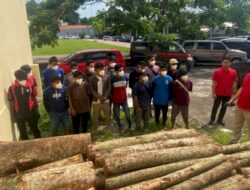 Pencurian Kayu di Waduk Jatibarang, Polrestabes Semarang Tangkap 15 Orang Pelaku