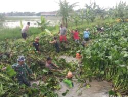 Cegah Banjir, TNI – Polri dan Warga Desa Wonowoso Demak Bersihkan Sungai