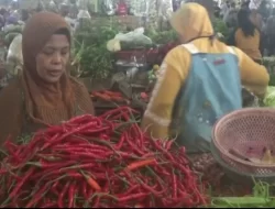 Dipengaruhi Hasil Panen, Harga Cabai di Kabupaten Semarang Mulai Turun