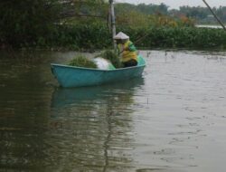 Hampir Sebulan, Banjir Masih Rendam Sejumlah Desa di Pati
