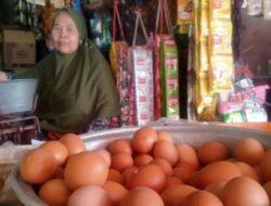 Harga Ecer Telur di Semarang di Kisaran Rp 28 Ribu Per Kilogram, Pedagang Nilai Masih Tinggi