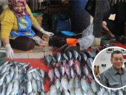 Harga Ikan Melambung, Komisi B Minta Pemkab Pati Berikan Solusi