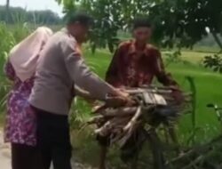 Kapolsek Sumber dan Anggota Bantu Lansia Kesulitan Membawa Kayu Bakar