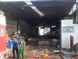 Pabrik Kayu di Ngaliyan Semarang Terbakar Dini Hari Tadi, 4 Jam Baru Padam