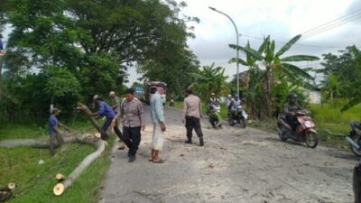 Patroli Polsek Dempet Tebang Pohon Pinggir Jalan, Cegah Pohon Tumbang