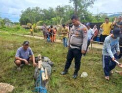 Penangkapan Buaya yang diperkirakan memakan Korban, di Desa Harapan Mulya Kayong Utara Kalbar