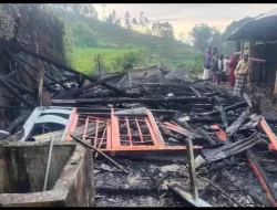 Diduga Korsleting Listrik, Rumah Milik Dwijo di Batur Banjarnegara Terbakar, Dua Ekor Sapinya Ikut Jadi Korban