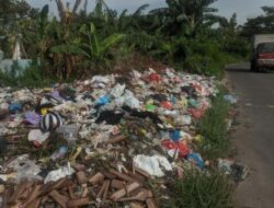 Jorok! Sampah Meluber di TPS Sementara Weding Demak Ganggu Pengendara