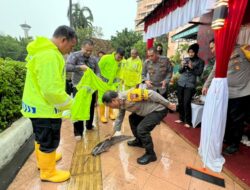 Semarang Banjir, Personil Satlantas Polrestabes Semarang Tangkap Lele Jumbo