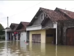 Sepekan Dilanda Banjir, Sejumah Desa di Pati Masih Terisolir