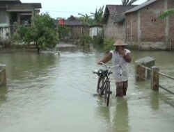 Air Banjir di Banjarsari Pati Kembali Naik, 250 Rumah Terendam, Kades: Sudah 3 Bulan Tergenang