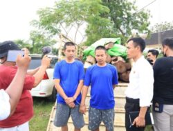 Angkut 34 Kayu Sonokeling, Polres Rembang Ringkus dua Pelaku Pembalakan