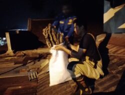 Damkar Banjarnegara Evakuasi Tiga Sarang Tawon Dalam Semalam