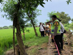 Hendak Curi Mangga, Pemuda di Rembang Tewas Terkena Jebakan Tikus Beraliran Listrik