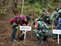 Kodim-Pemkab Purbalingga tanam 5.000 albasia di daerah rawan longsor