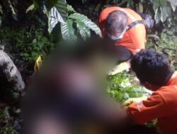 Lelaki paruh baya tanpa identitas ditemukan meninggal di kebun kopi Bawen