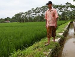 Masyarakat Sijono Batang Semakin Produktif Berkat Bantuan Infrastruktur dari Pemprov Jateng