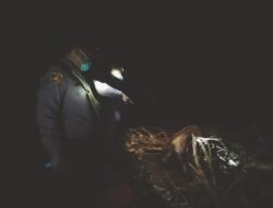 Mayat Pria Ditemukan di Cilacap Tersangkut Pohon Sungai Citandeuy – Indo Berita