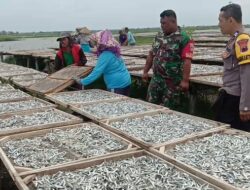 Nersama Babinsa, Bhabinkamtibmas Menyambangi Usaha Ikan Asin Di Desa Tridonorejo Bonang