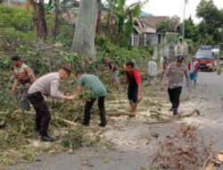 Penebangan Pohon Dilakukan Polsek Curup Bersama Instansi Terkait