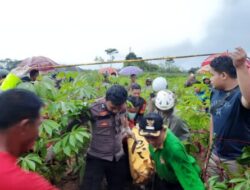 Penemuan Mayat Perempuan di Kebun Singkong Batang Sedang Di Olah TKP Polisi