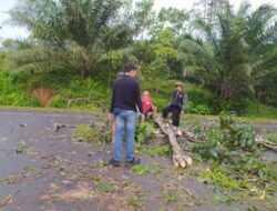 Polsek Batiknau Patroli KRYD Antisipasi Pohon Tumbang dan Bencana