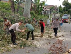 Polsek Curup Bengkulu Bersama Instansi Terkait Lakukan Penebangan Pohon