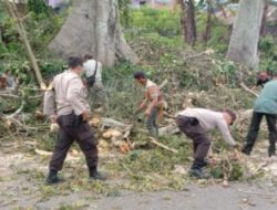 Polsek Curup Polda Bengkulu Bersama Instansi Terkait Lakukan Penebangan Pohon