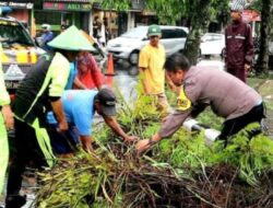 Polsek Purbalingga Dibantu Warga Evakuasi Pohon Tumbang di Purbalingga