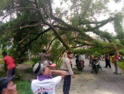 Reaksi Cepat Polsek Sukolilo Pati Evakuasi Pohon Tumbang Halangi Jalan Raya